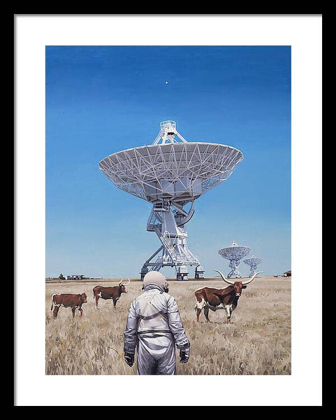 Longhorns 1 - Framed Print