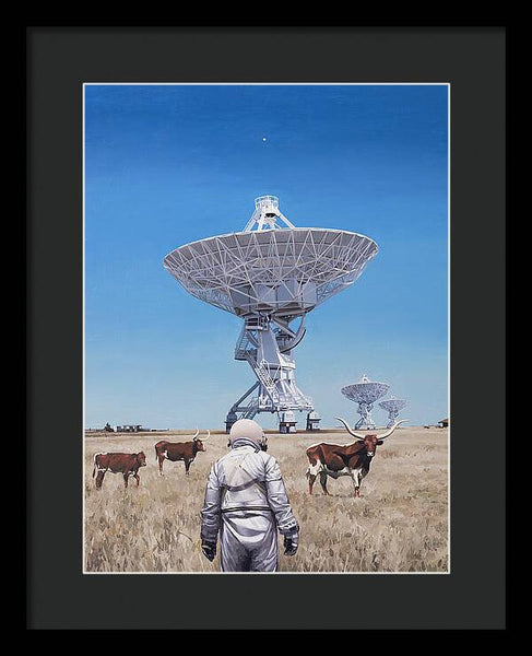 Longhorns 1 - Framed Print