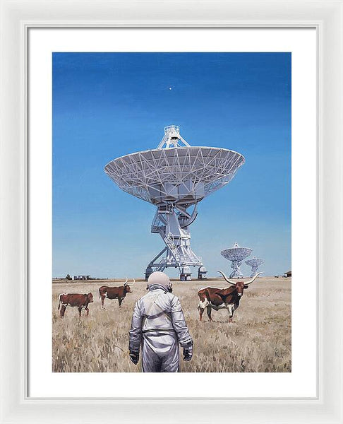 Longhorns 1 - Framed Print