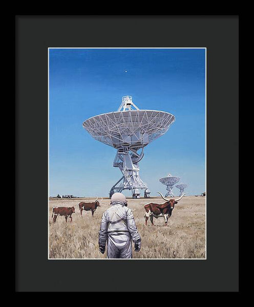 Longhorns 1 - Framed Print