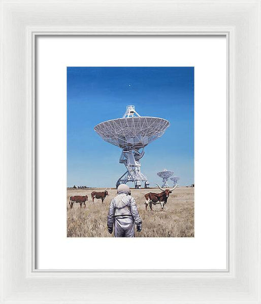 Longhorns 1 - Framed Print