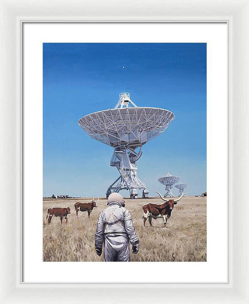 Longhorns 1 - Framed Print