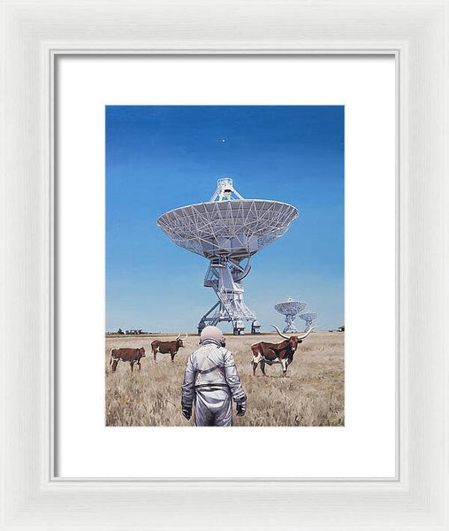 Longhorns 1 - Framed Print