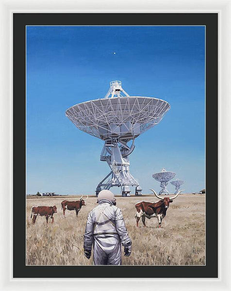 Longhorns 1 - Framed Print