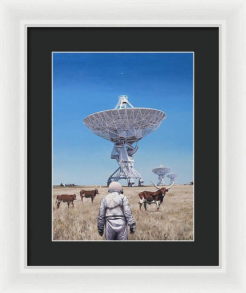 Longhorns 1 - Framed Print