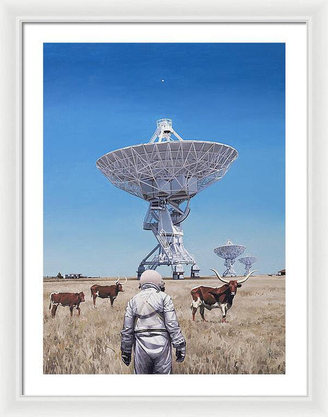 Longhorns 1 - Framed Print