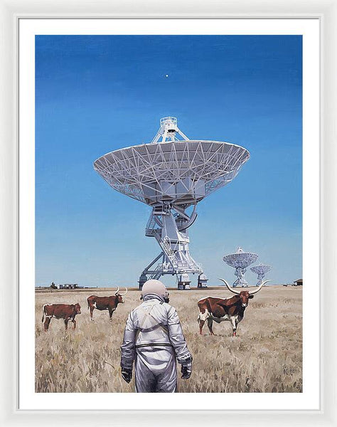 Longhorns 1 - Framed Print