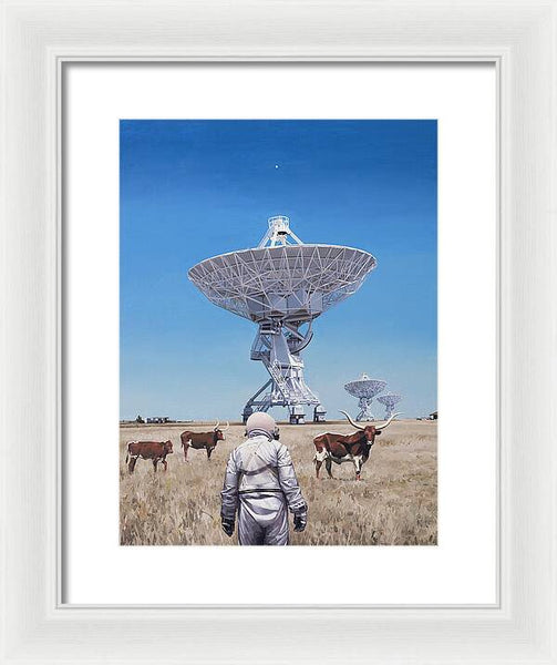 Longhorns 1 - Framed Print