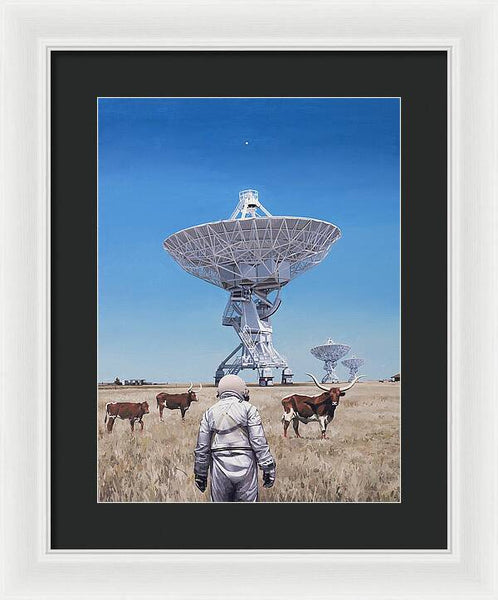 Longhorns 1 - Framed Print