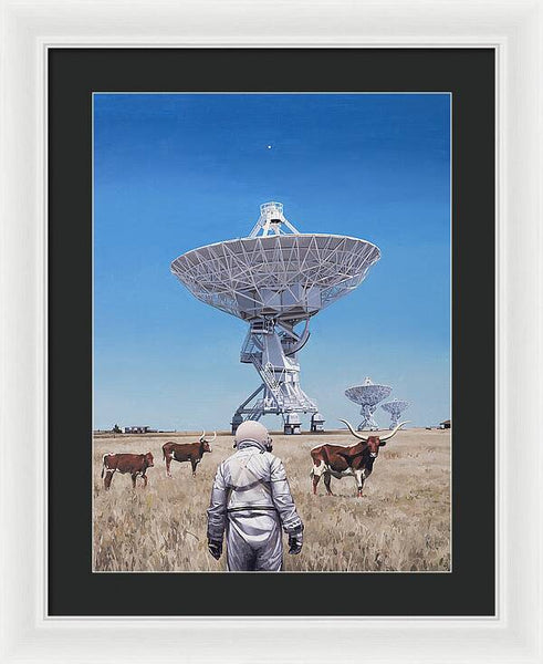 Longhorns 1 - Framed Print