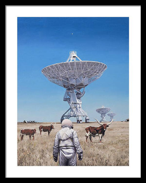 Longhorns 1 - Framed Print