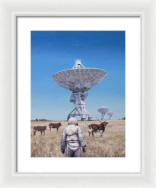 Longhorns 1 - Framed Print