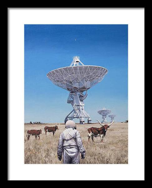 Longhorns 1 - Framed Print