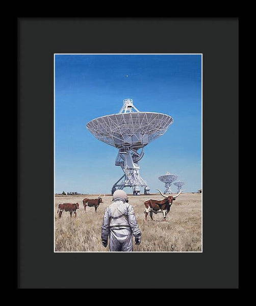 Longhorns 1 - Framed Print