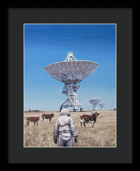 Longhorns 1 - Framed Print