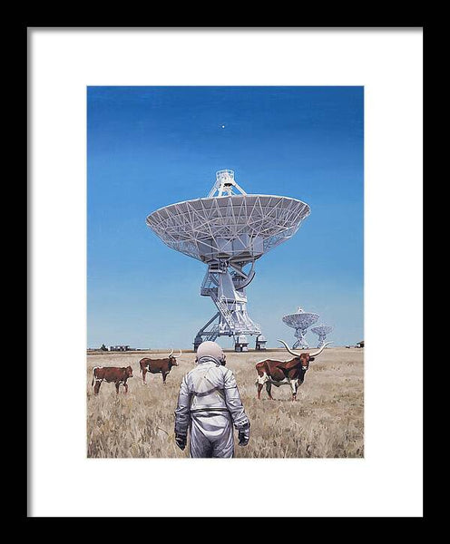 Longhorns 1 - Framed Print