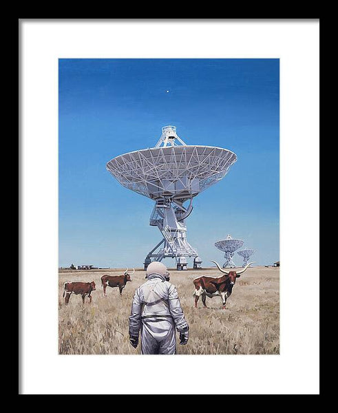 Longhorns 1 - Framed Print
