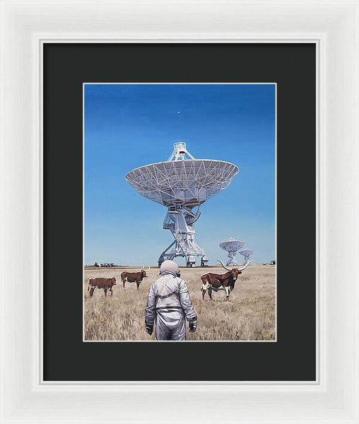 Longhorns 1 - Framed Print