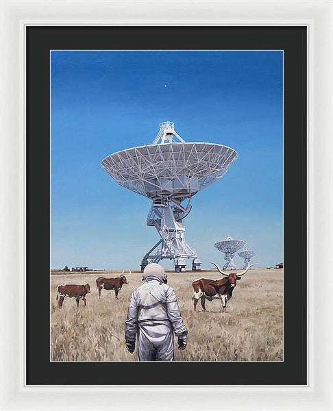 Longhorns 1 - Framed Print