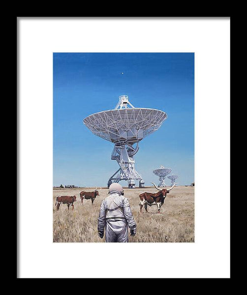 Longhorns 1 - Framed Print