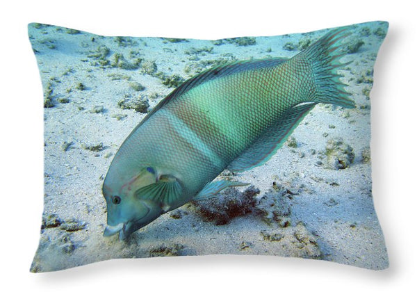 Fish - Throw Pillow