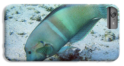Fish - Phone Case