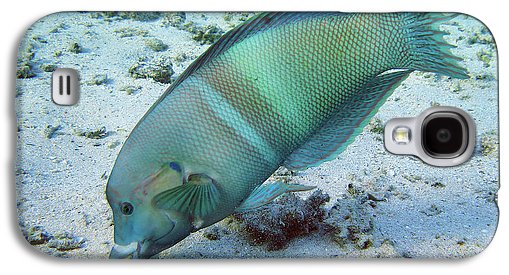 Fish - Phone Case
