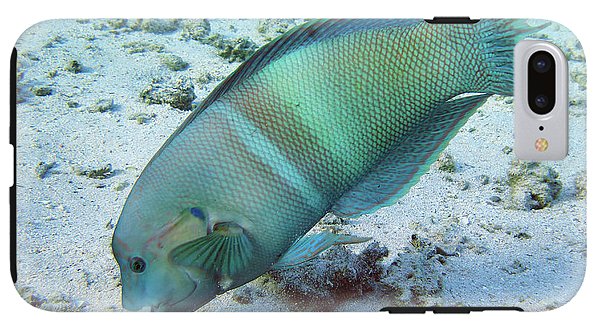 Fish - Phone Case