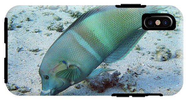 Fish - Phone Case