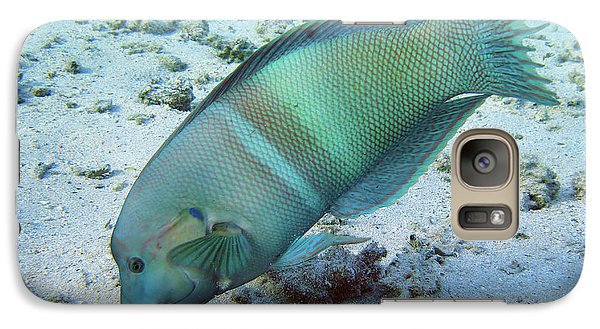 Fish - Phone Case