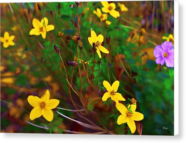 Canvas Print - Fleur