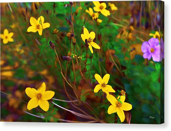 Canvas Print - Fleur