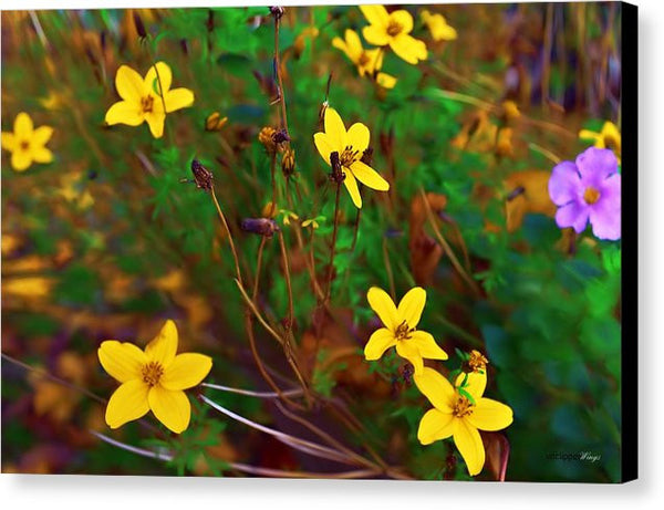 Canvas Print - Fleur