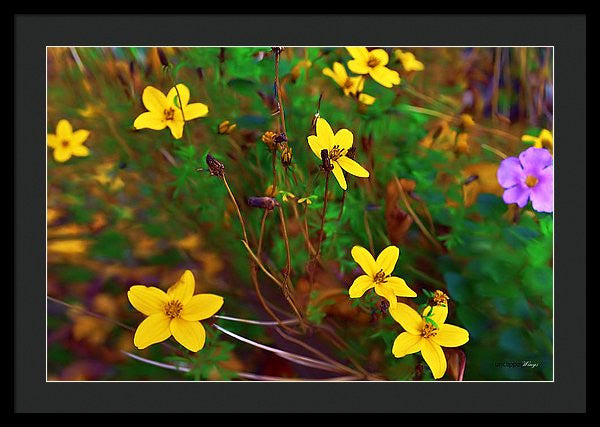 Framed Print - Fleur