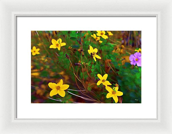 Framed Print - Fleur