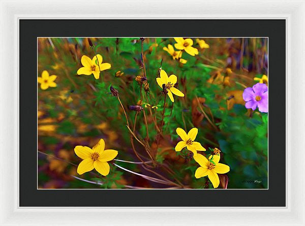 Framed Print - Fleur