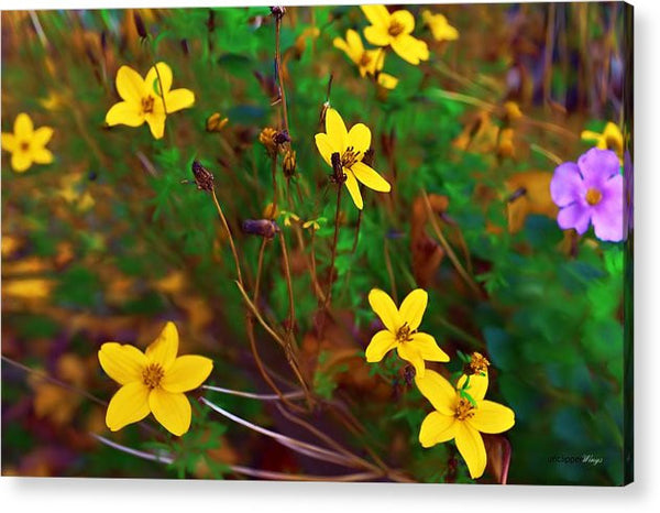 Acrylic Print - Fleur