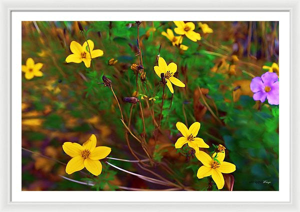 Framed Print - Fleur