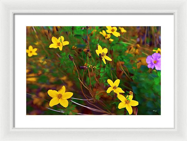 Framed Print - Fleur