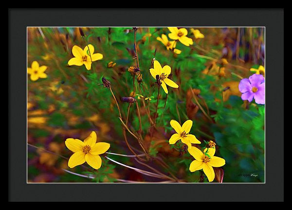 Framed Print - Fleur
