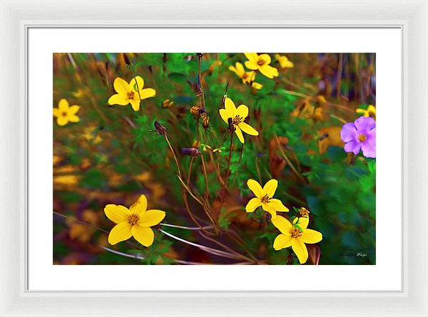 Framed Print - Fleur