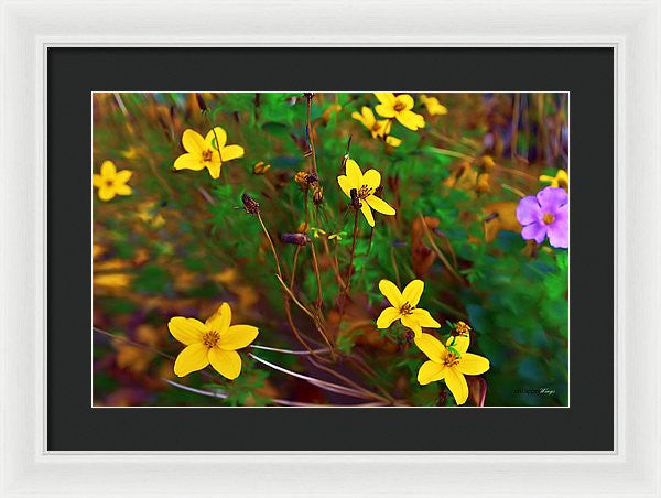 Framed Print - Fleur