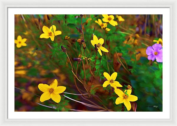 Framed Print - Fleur