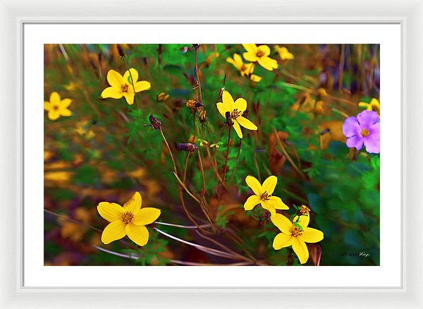 Framed Print - Fleur