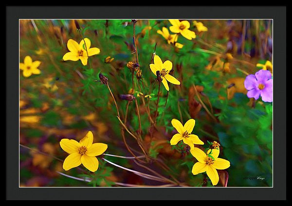 Framed Print - Fleur