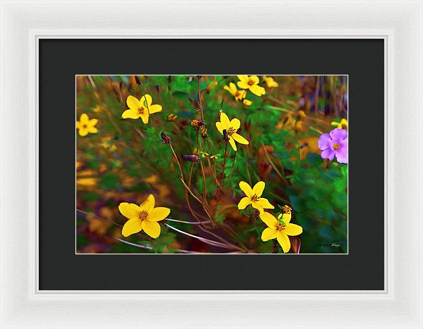 Framed Print - Fleur