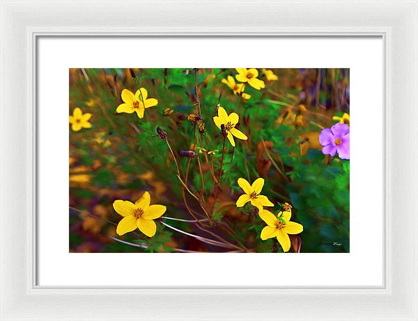 Framed Print - Fleur