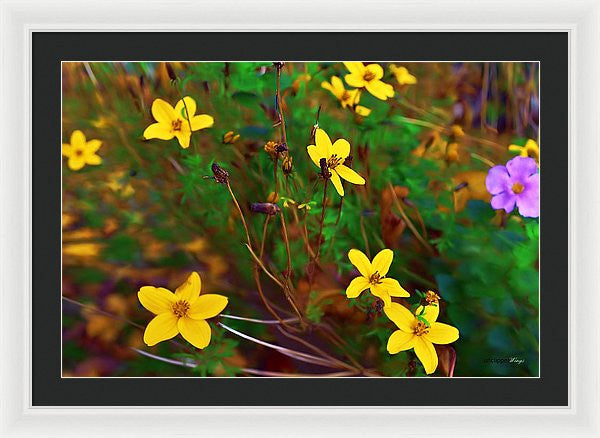 Framed Print - Fleur