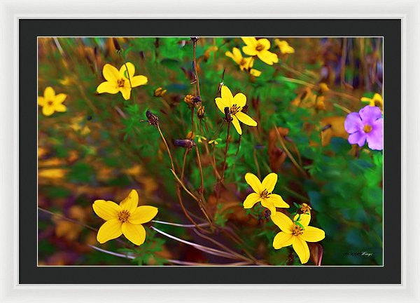 Framed Print - Fleur