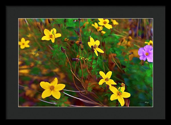 Framed Print - Fleur